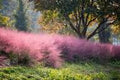 Large assortment of lime light hydrangea, ligustrum, drift rose plants, Pink Muhly Grass, Azaleas, Knock Out roses, shrubs, trees Landscape Supply Roses at JoJo’s Landscape Supply & More. Lots of plants at the garden center located in Foley Alabama at 21550 Hwy 98 